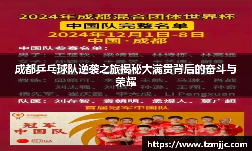 成都乒乓球队逆袭之旅揭秘大满贯背后的奋斗与荣耀