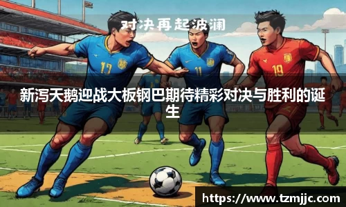 球速体育